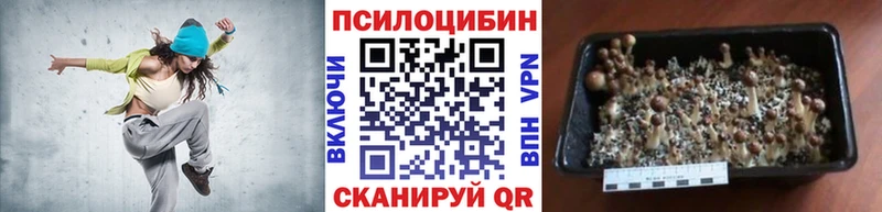 как найти   гидра ссылка  Галлюциногенные грибы мицелий  Саров 