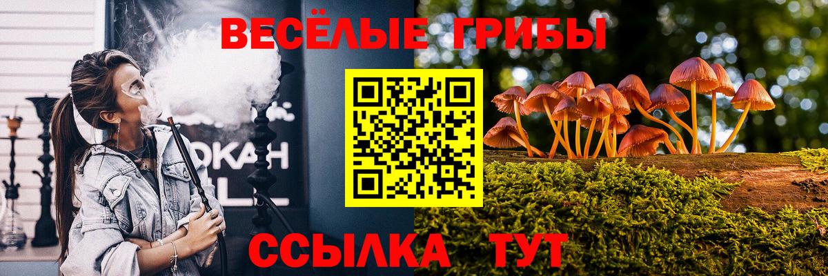 Галлюциногенные грибы MAGIC MUSHROOMS  Вход с VPN  Галлюциногенные грибы Psilocybe  Саров 