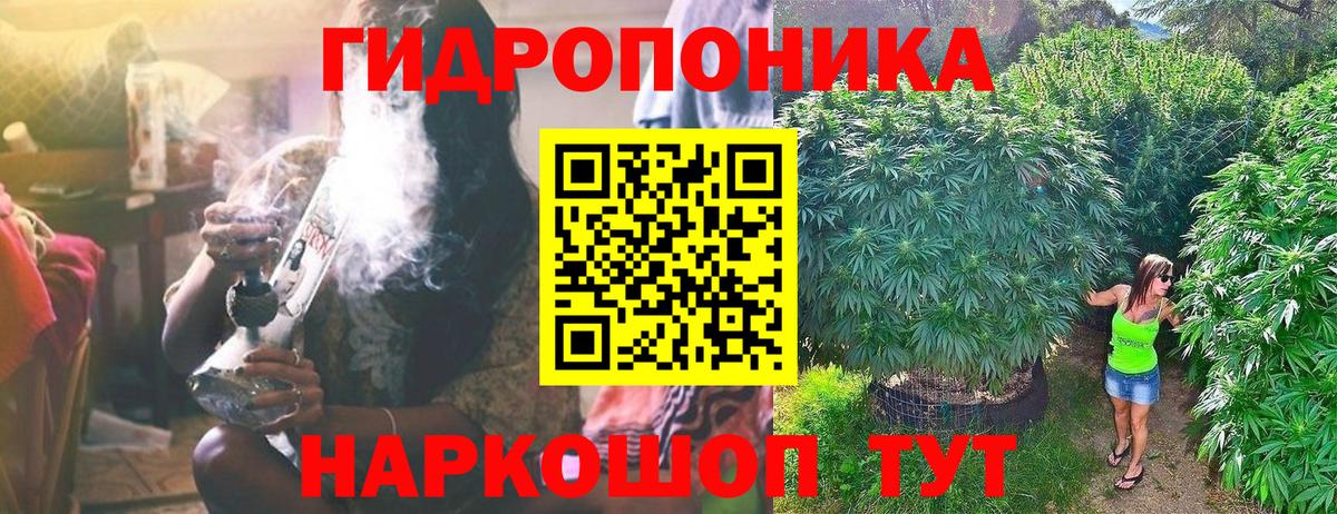 Конопля сатива  Марихуана сатива  Саров  Вход с VPN 